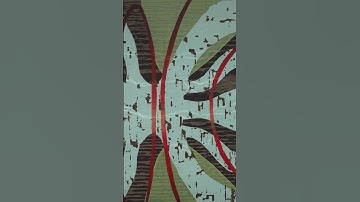 from String Quartet No. 3 (I. Vivace) #classicalmusic #shorts