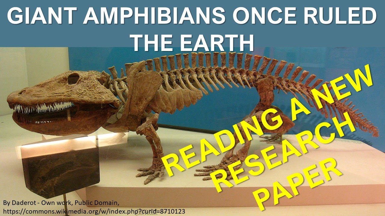 New Research: Ichnofossils of Giant Amphibians in South Africa a Big Problem for Flood Geology