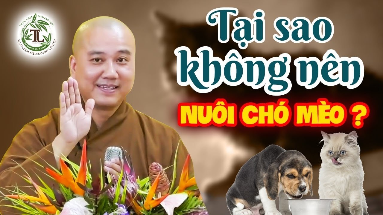 Tại sao Phật Tử KHÔNG NÊN Nuôi Chó Mèo trong nhà? - Vấn Đáp Thầy Thích Pháp Hòa