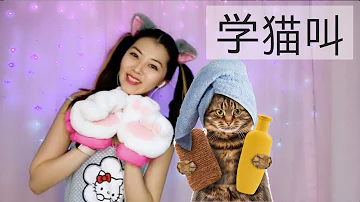 学猫叫 - Learn to Meow (Xue Mao Jiao Cover) + English Translation