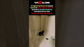 The Feral Cat Keeps Her Distance, Then Learns to TRUST Again
