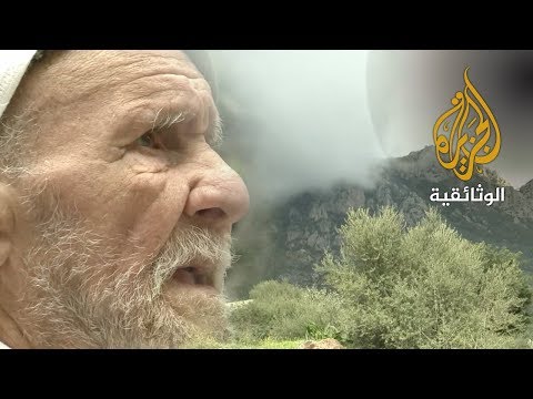 أوجاع الذاكرة - الجزائر