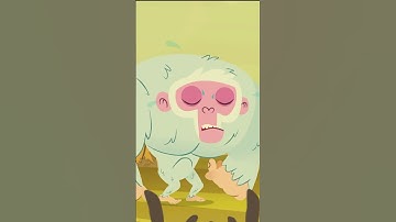 Stop Pollution! Kit Teaches How to Save the Planet! #shorts