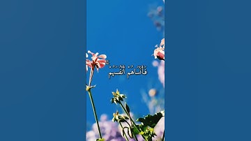 يَا أَيُّهَا الَّذِينَ آمَنُوا اتَّقُوا اللَّهَ |سوره مبارکه #حشر|