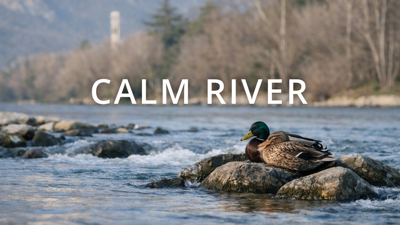 Calm River Ambience — Natural Water Sounds & Resting Birds (Ultra HD 4K)