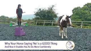 Why Your Horse Saying 'No' is a GOOD Thing... And How it Enables You to do MORE Confidently by Connection Training 5,286 views 3 years ago 9 minutes, 6 seconds
