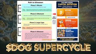 Dog Supercycle Explained New Capital Flow Model