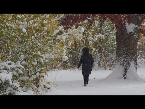 It Doesn't Matter any More - Buddy Holly: with Lyrics(가사번역) || Chautauqua Park, Boulder, Colorado