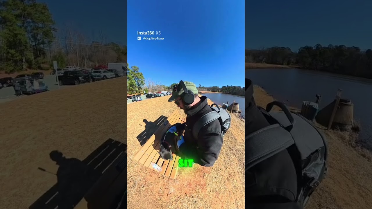 Drago — Recalls/Focus Training at the park! pt 4 