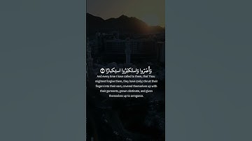 سورة نوح: القارئ محمد المحيسني