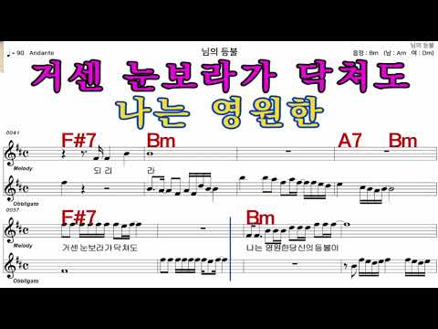 님의등불    진 성     가수처럼 엠알로  악보  노래 하기   남  원키  Bm