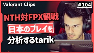 完全にNTHのファンボ化したtarikが日本の為に解決策を考える!!   #104【ヴァロラント】【Valorant翻訳】