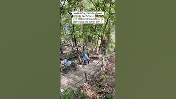 Người thành công có lối đi riêng 😁 #shorts #tochau