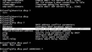 43 Using A Cisco Router As A DHCP Server