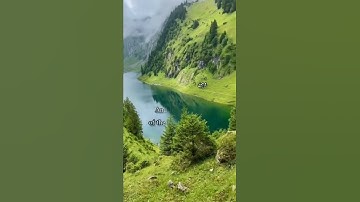 قرآن كريم القارئ سعد الغامدي سورة (الفلق)