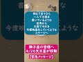 【獅子座】大転換点!4/26天王星双子座入り🌟獅子座の皆様へのポイントを1分で解説😃 #shorts #獅子座 #2026 #天王星 #双子座 #占い #占星術