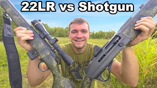 22Lr Vs Shotgun Which Is Better For Squirrel Hunting?