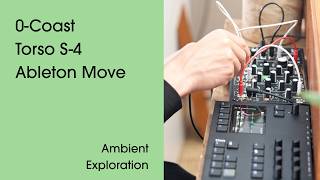 Daylight - Ambient Performance with Make Noise 0-Coast, Torso S-4 & Ableton Move