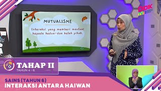 Tahap II (2022) | Sains (Tahun 6): Interaksi Antara Haiwan