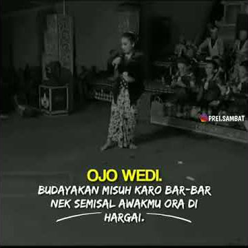 story wa precil, kuntet, || probo misuh muni asu kabeh
