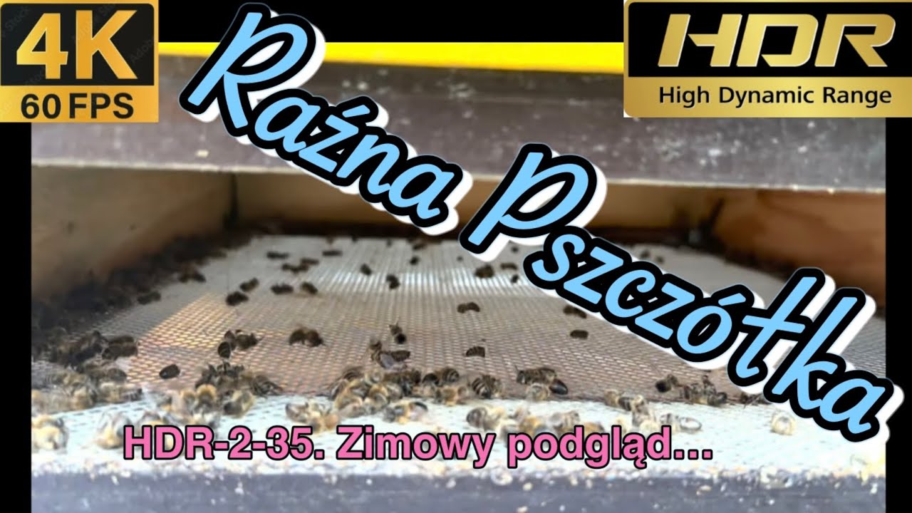 HDR-2-35. Zimowy podgląd