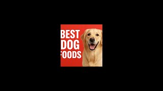 Top 5 Dog Foods of 2025: A Must-Watch Guide for Pet Parents!