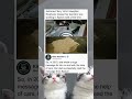 pov: writing messages for your dad in space is wild 😭 | funny memes | dank memes | viral memes