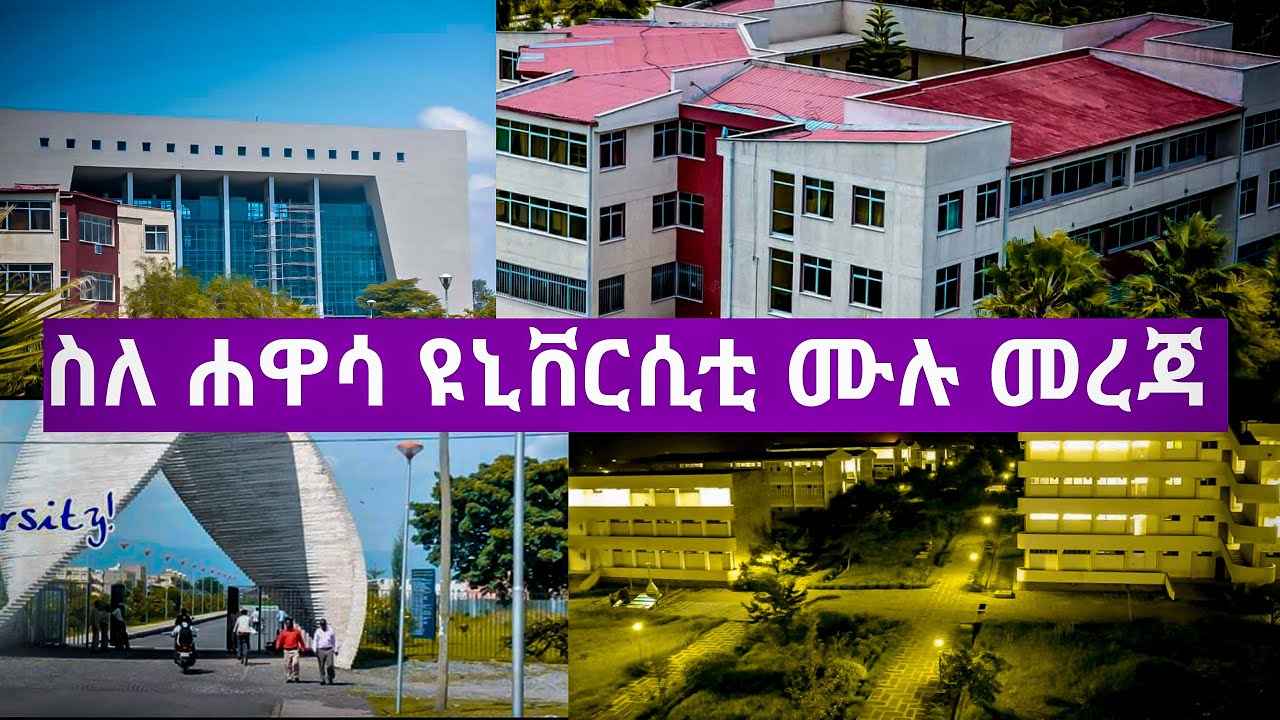 hawassa university business plan