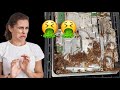DISGUSTING Bug Infested PlayStation - Let's Fix It!
