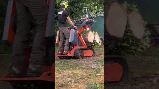 Nouvelle vidéo disponible 🌲🌲 abattage arbre, abattage sapin, élagueur Belgique, arboriste #Shorts