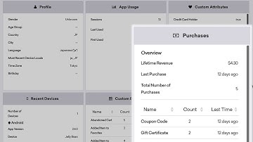 Braze 101: User Profile Breakdown