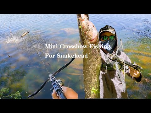 Mini Crossbow Fishing For Snakehead 