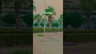 سورة جمعة فيديو Juma Youtube Salam Mall