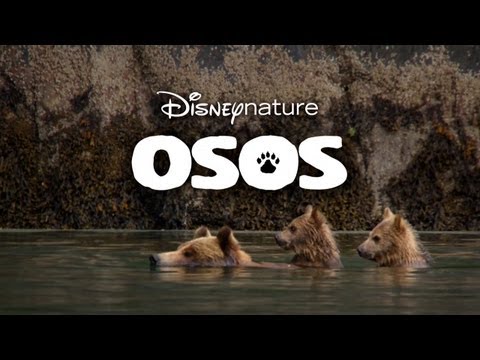 Osos | Trailer [Doblado al español]