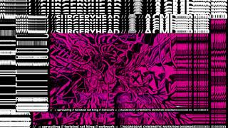 VOIDDWELLERXSURGERYHEAD//ACMD