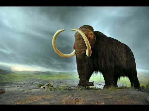 Woolly Mammoth Sounds