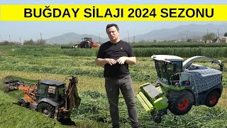 2024 Buğday Silajı Sezonu Açıldı