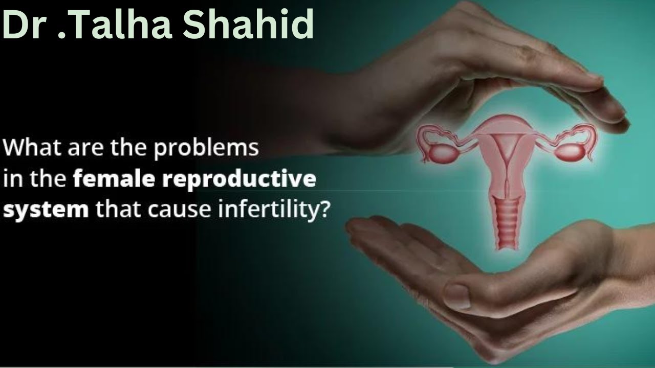 What the problems in the female reproductive system that cause ...