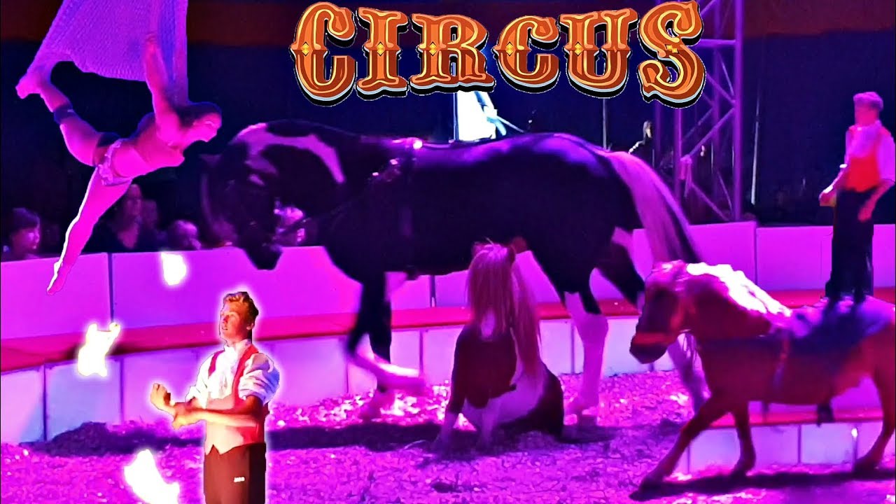 Family Circus Alaska Germany - Happy Birthday Mommy!