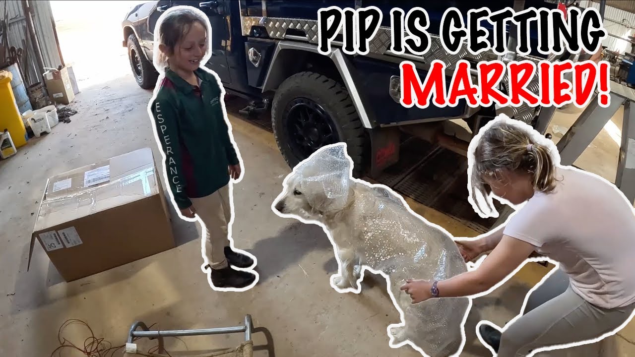 Установка Toolbox в ОЗУ!