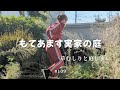 もてあます実家の庭 深刻な雑草問題 草取りと庭じまい #109