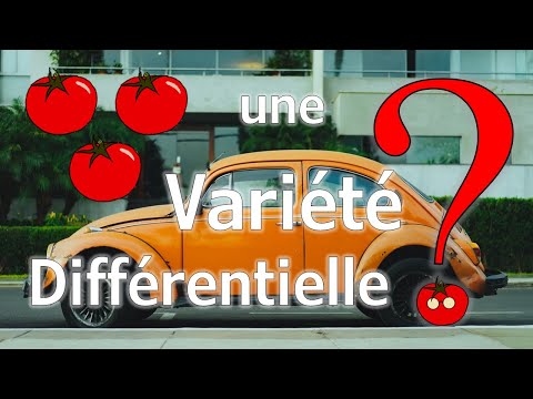 Vidéo: Qu'est-ce qu'une indicatrice en géométrie différentielle ?