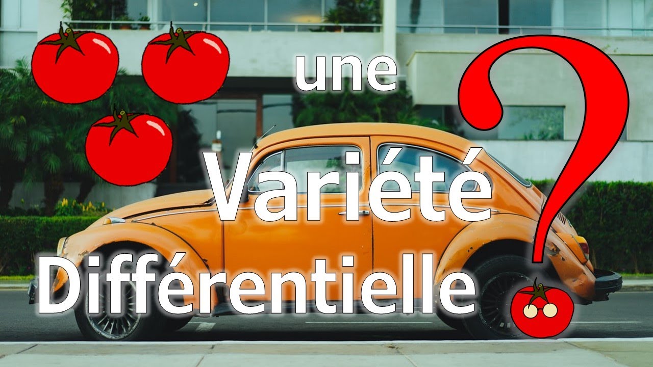 MQD 1 : Variété Différentielle ?