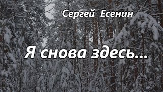 Сергей Есенин.  &quot;Я снова здесь, в семье родной...&quot;  Cтихи.  Онлайн театр из Екатеринбурга