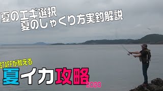 夏エギング攻略講座！～夏イカの釣り方～餌木選択・しゃくり方（後編）summere ging