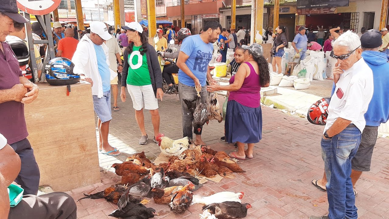 FEIRA EM SÃO BENEDITO CEARÁ 16/08/25