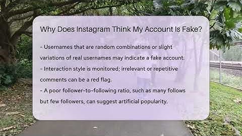 Why Does Instagram Think My Account Is Fake? - Everyday-Networking