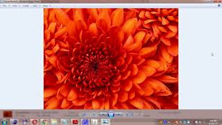 A Novel Data Hiding Algorithm for High Dynamic Range Images