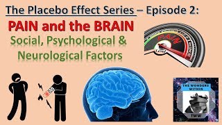 The Placebo Effect (2/8): Placebo Science in Pain perception, Chronic, Psychosomatic & Phantom Pain