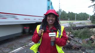 Hurricane Michael trees down on highway